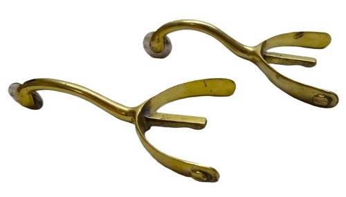 Swan neck spurs - swan,