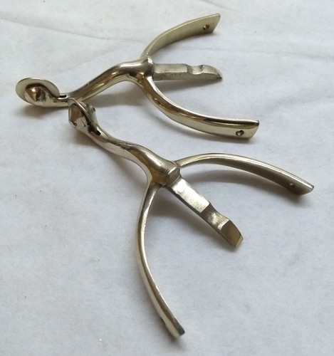 Swan neck spurs - swan, british